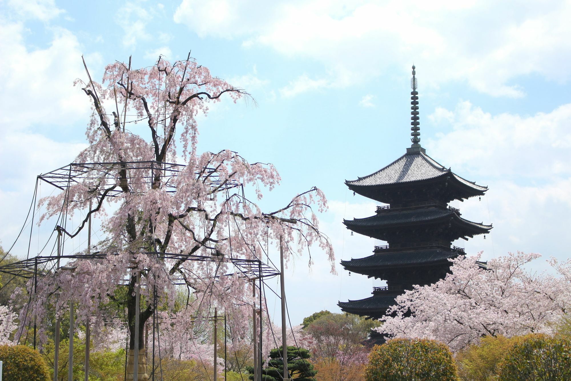 Stay Sakura Kyoto Toji West I Exterior photo